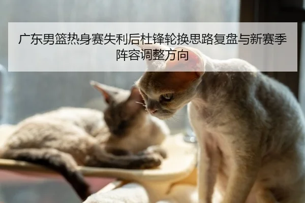 广东男篮热身赛失利后杜锋轮换思路复盘与新赛季阵容调整方向