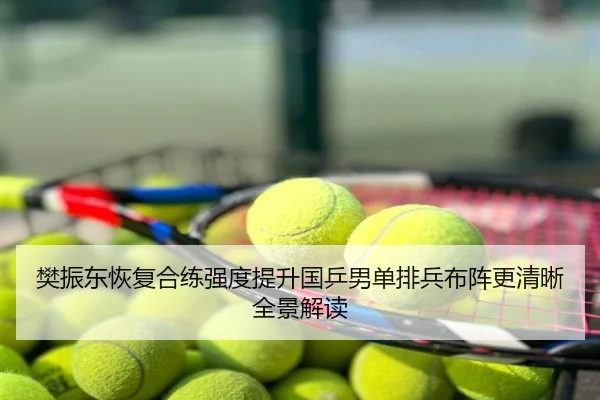 樊振东恢复合练强度提升国乒男单排兵布阵更清晰全景解读